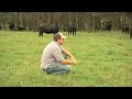 Millennial Farmer Runs Diverse Cattle Operation In Emanuel County, Georgia