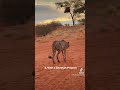 8 things you should do in Namibia 🇳🇦 Part 1