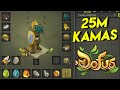 Le stuff ideal pour reprendre dofus mode  25m kamas