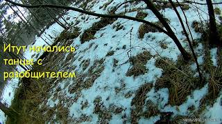 видео: Охота на рябчика.Хуглу Ренова. Проблемы с разобщителем. картинка: Охота на рябчика.Хуглу Ренова. Проблемы с разобщителем.
