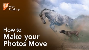 How to Make Photos Move with Pixaloop!