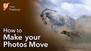 How to Make Photos Move with Pixaloop! screenshot 2