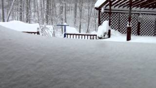 Winter Storm Nemo