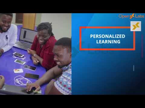 OpenLabs NIIT - The Top Technology Training Institute