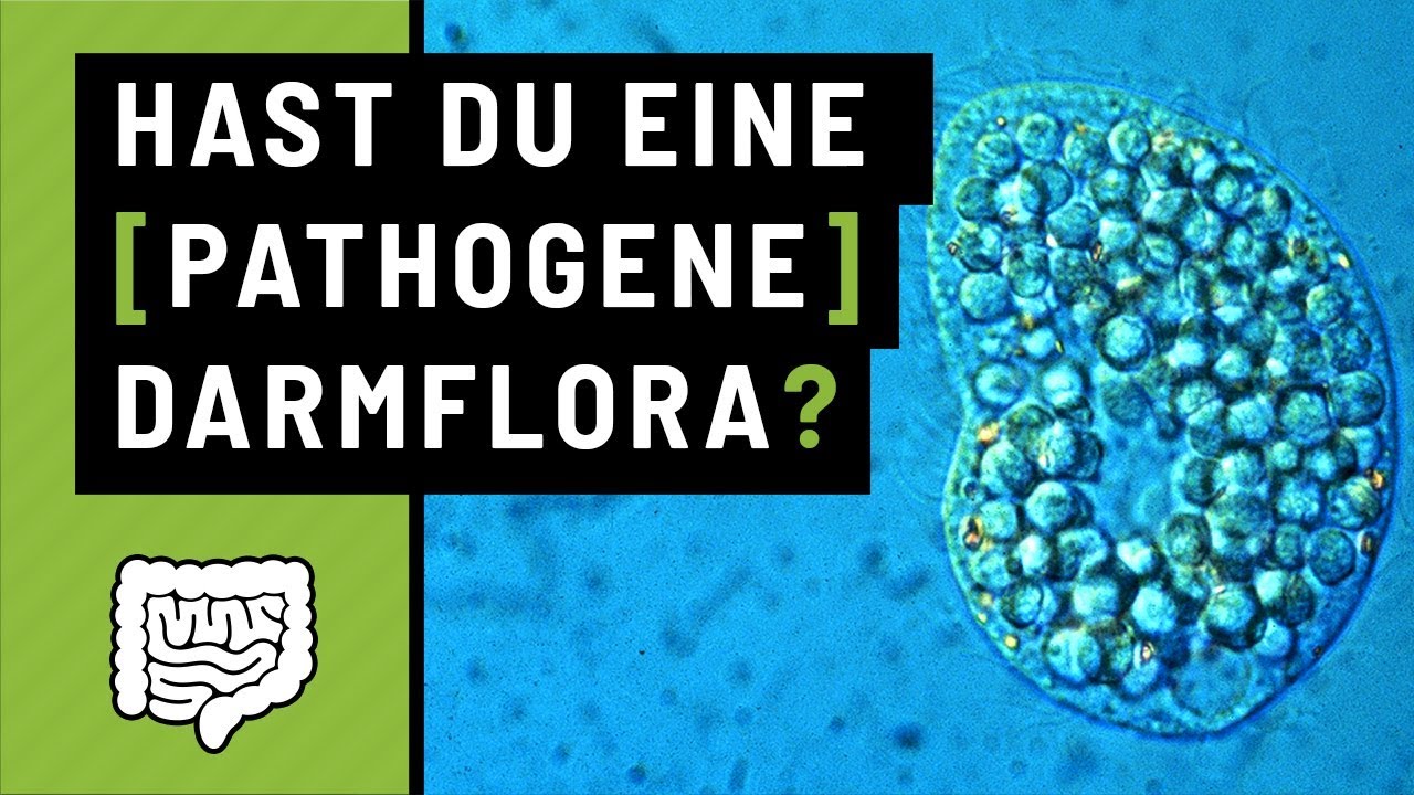 B12 Mangel, Rohkost Ernährung und Darmflora aufbauen