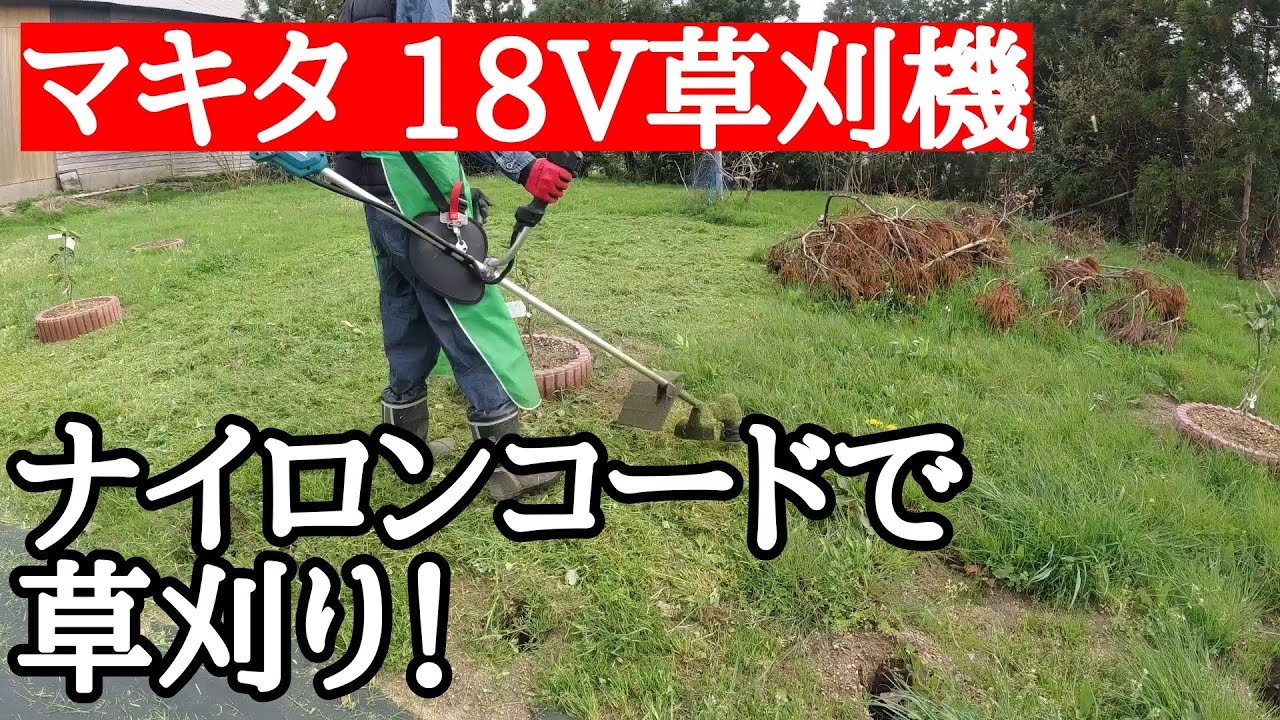 My first grass cutting of 2023 with a Makita 18V brush cutter and