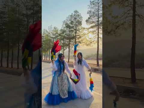 رقص زیبای لری با صدای دلنشین جواد طالبی آهنگ هشکله کلیپ
