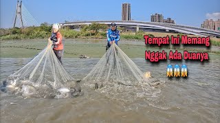 Kumpulan Video Jala Ikan Dengan Hasil Sangat Memuaskan Di 2024 / Best Net Fishing