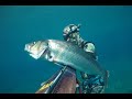 Podvodni ribolov - Spearfishing croatia 2019