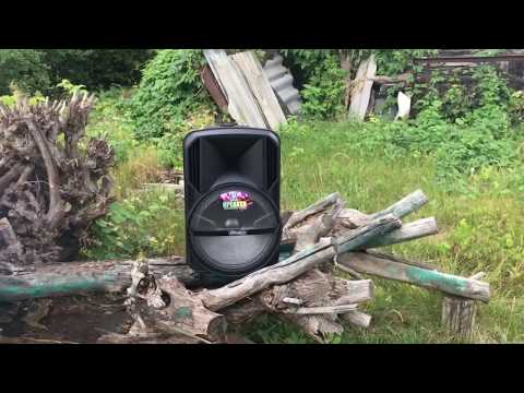 Колонка с аккумулятором за 6990 руб. Экспресс-обзор.