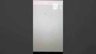 Thinglink Instructions