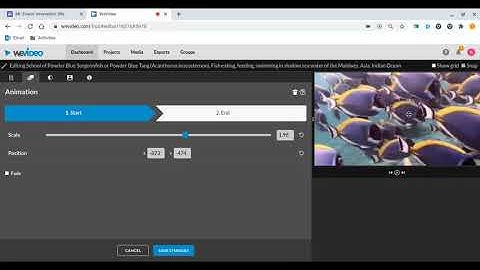 Add Animations to Photos and Video Clips in WeVideo