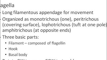 Microbiology chapter 4 part 1
