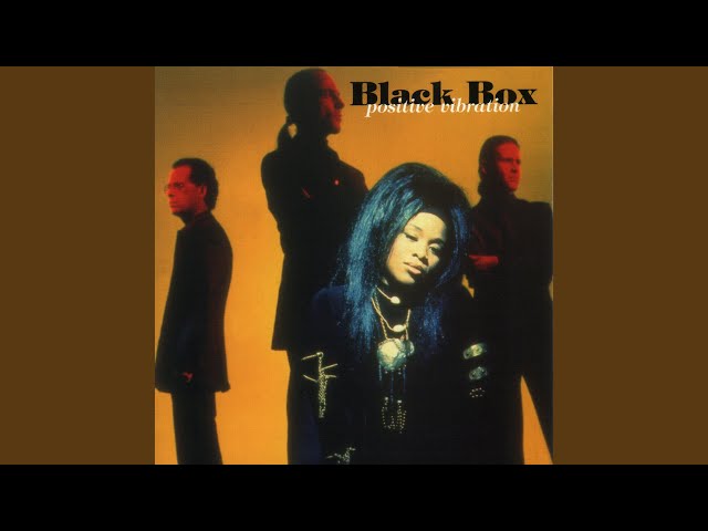 Black Box - Fall Into My Love