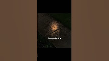 عودة إلى القرآن الكريم #تدبر_القرآن #ذكر #قرآن #توبة #قران_كريم #ثانوية_عامة #شفاء