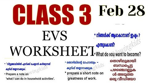 Class 3 Evs worksheet feb 28|kite |victers worksheet |3 class evs February 28 work|victers 3