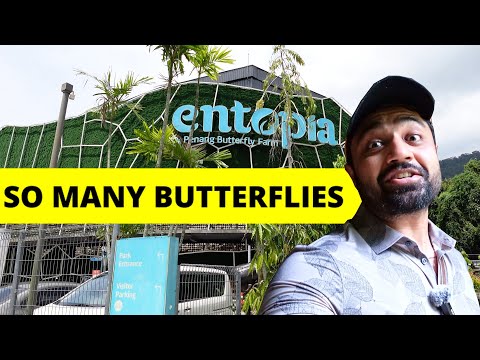 Chulia Street, Love Lane \u0026 Chinese Food Street 🇲🇾 | George Town Nightlife + Street Food Tour