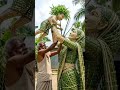 kisan ne bna diya bamboo se ma our bete ka putla #ai #shorts #ma #beta #woodcarving