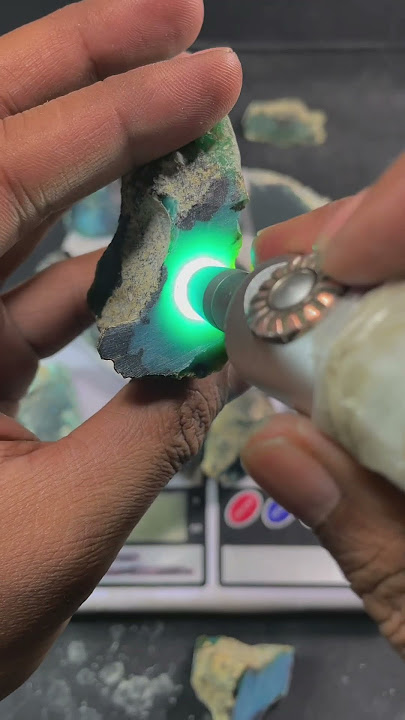 BACAN DOKO MAJIKO FULL DAGING | DIMENSI 40x40(Kolektor) AMAN TERKENDALI KETUA
