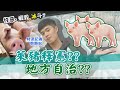 【#忤惡-蝦毀冰斗】萊豬釋憲戰│中天社會頻道