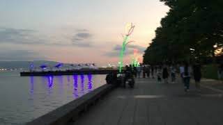 Visiting My Good Friend Archie In Izmit, Kocaeli