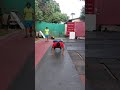 Functional training strength training crossfit wod swapnil more  