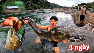 Loài CÁ SĂN Mồi Ác Mộng Của Rừng NHIỆT ĐỚI | 3 ngày Ngủ Qua Đêm Trong RỪNG Tìm Thủy Quái