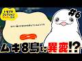 【トモコレ】#5 ムキムキ腹筋8つ島に異変が！？イベント発生！　【白・まろやか】