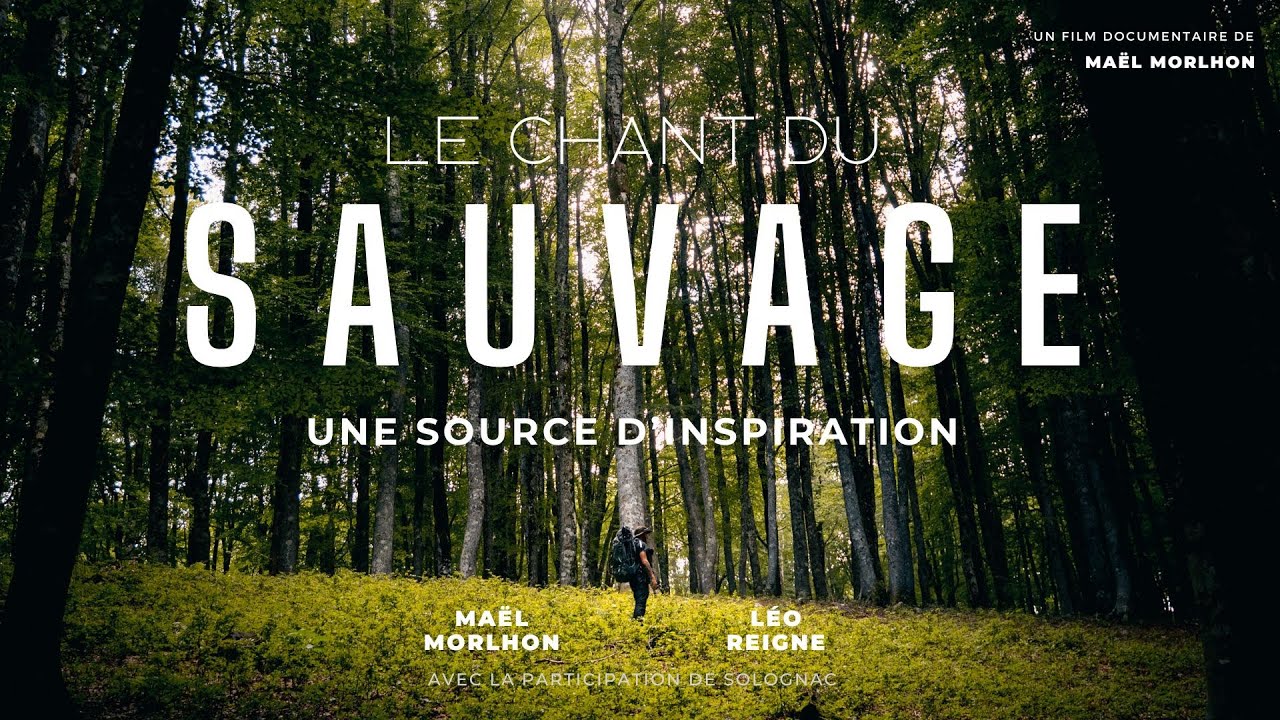 Le Chant Du Sauvage : dans les pas du loup (Abruzzes 2023)