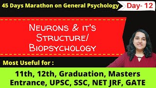 Neurons Its Structure Biopsychology General Psychology Mind Review