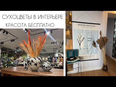 🌿СУХОЦВЕТЫ В ИНТЕРЬЕРЕ🌿Красота бесплатно🌿Много идей для декора