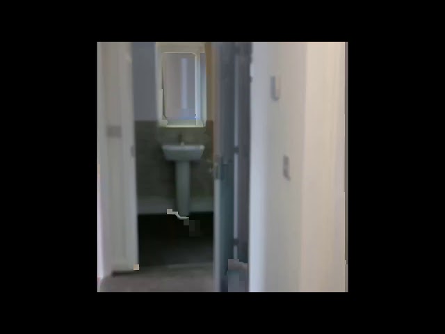 Video 1: