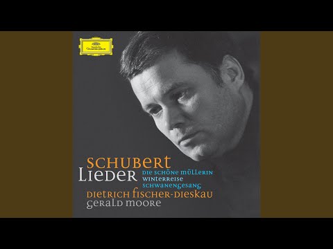 Schubert: Über Wildemann,