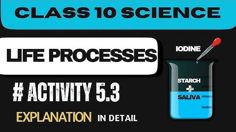 Activity 5.3 || Class 10 || Science || Chapter 5 || Life Processes Explanation || NCERT Activities