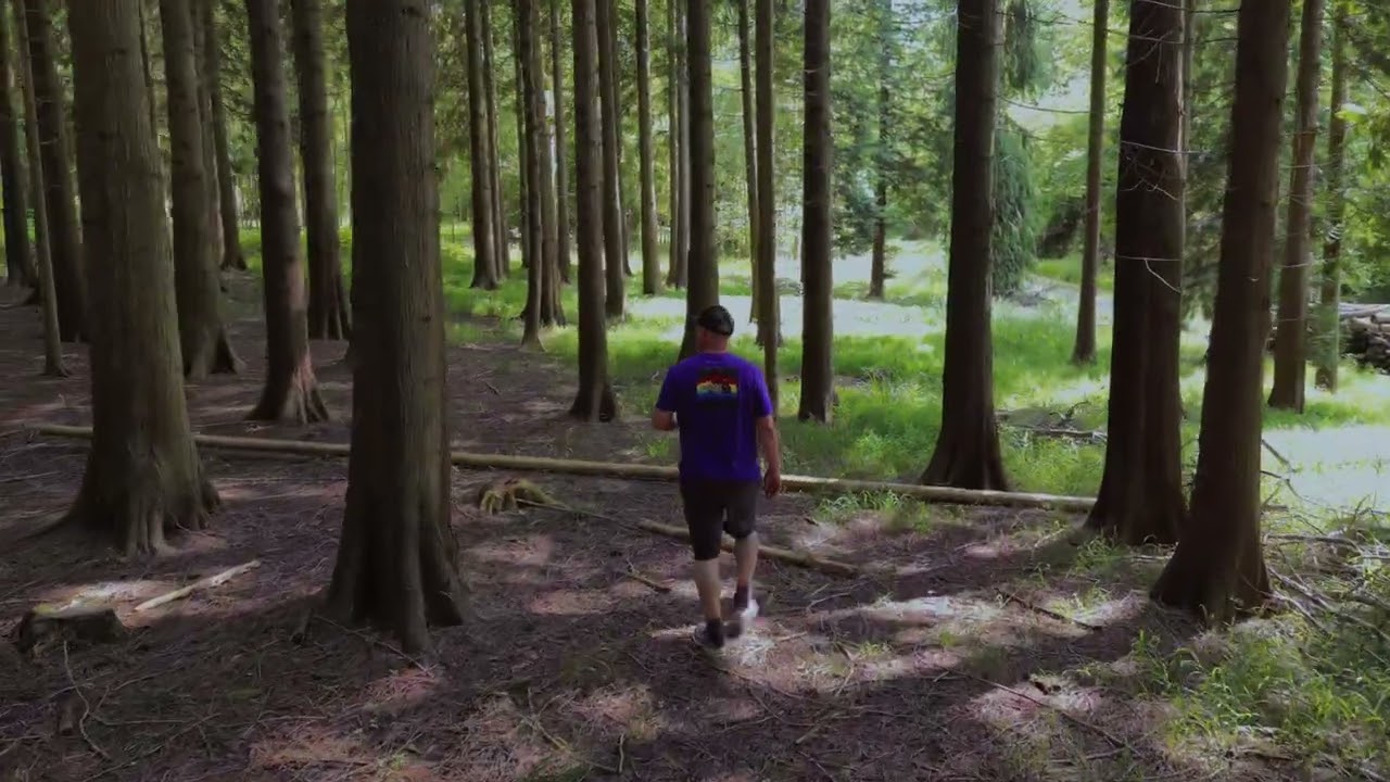 A Walk in the wood's mavic mini3pro (active track) Bagley woods