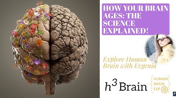 How Your Brain Ages: The Science Explained!