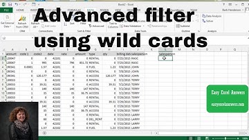 How to create an advanced filter using wild cards in Excel