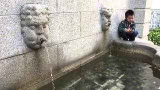 Macau Leal Senado's Fountain in Slow Motion 澳門市政廳噴泉慢鏡