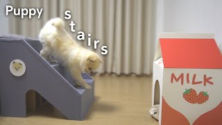 DIY puppy stairs from cardboard