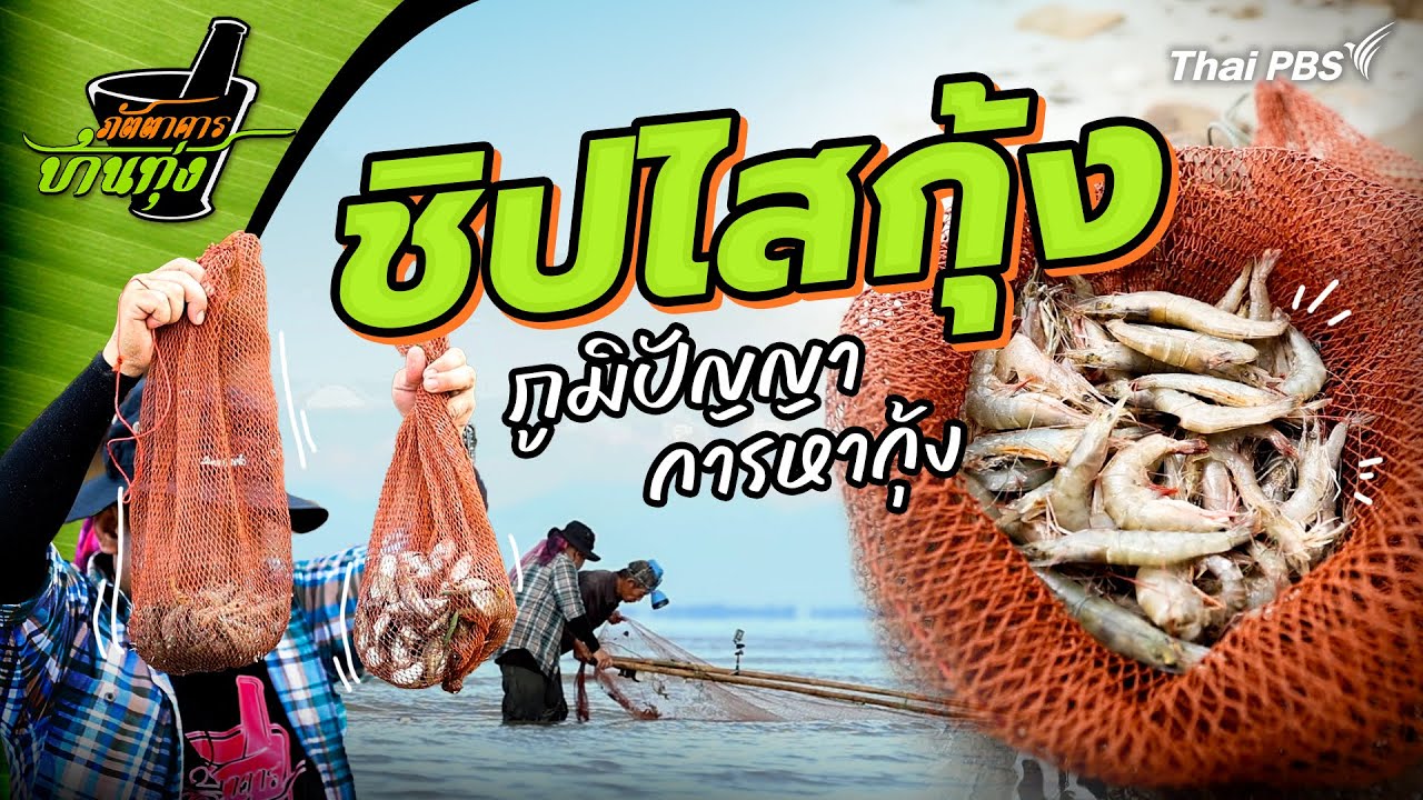 ชิปไสกุ้ง | ภัตตาคารบ้านทุ่ง