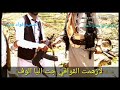 قصيدة