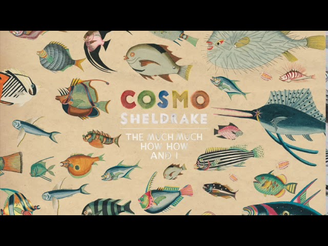 Cosmo Sheldrake - Pliocene bekijken op YouTube