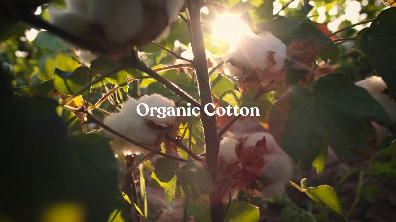 Ecologyst Fibres l 100 Organic Cotton