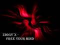 Capture de la vidéo Ziggy X - Free Your Mind