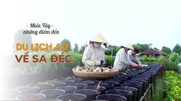 DU LỊCH 4.0 VỀ SA ĐÉC | MIỀN TÂY NHỮNG ĐIỂM ĐẾN | VTV5