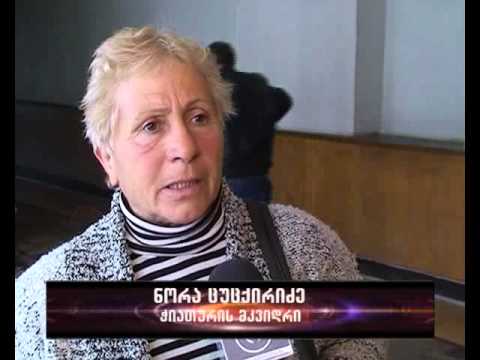 საია ჭიათურაში 2015-2017 წლების სამოქმედო გეგმა-იმერვიზია 2015