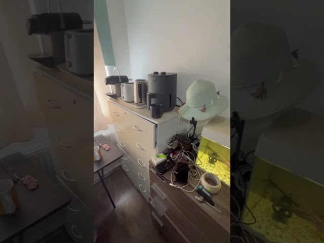 Video 1: