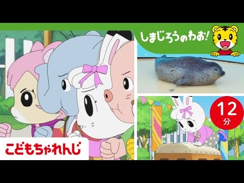 白熱! ゆるキャラ大運動会~さのまる3歳のお誕生日会~珍プレー・好プレー! [DVD] 9jupf8b Amazon.co.jp: 白熱! ゆるキャラ大運動会~さのまる3歳のお誕生日