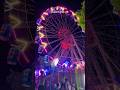 Mela 🎡