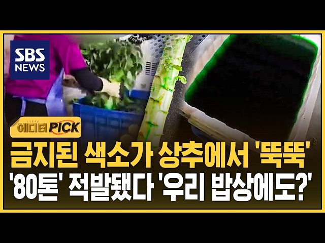 금지된 초록 색소가 상추서 '뚝뚝'..'80톤' 적발됐다 '우리 밥상에도?' (에디터픽) / SBS